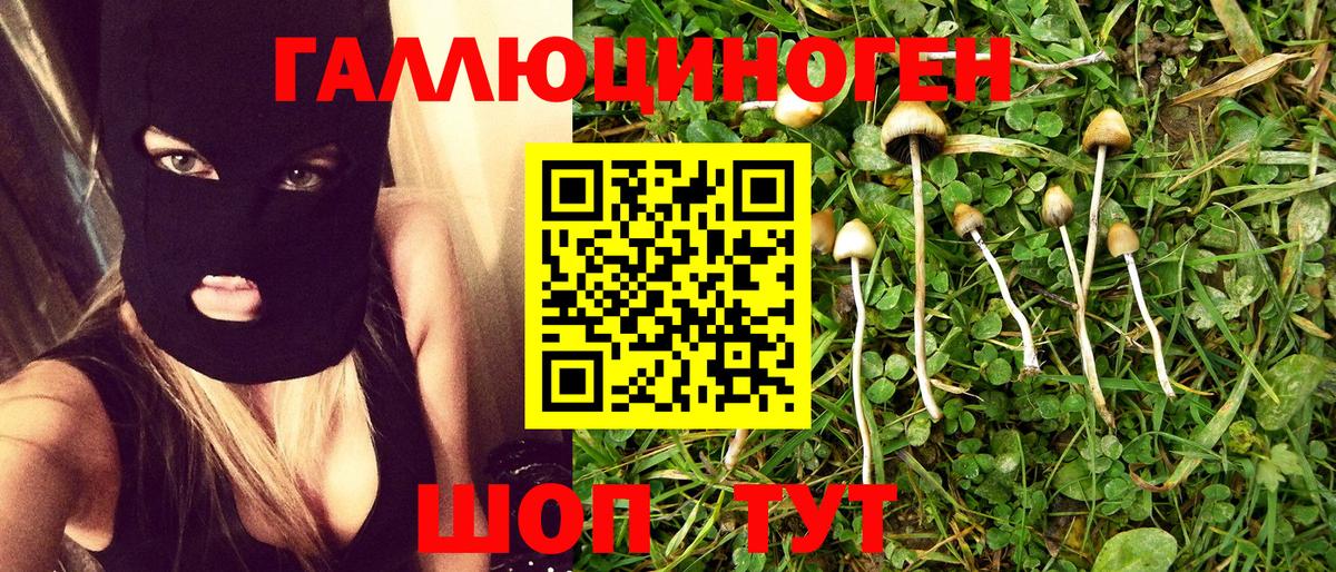 Коммунар  Псилоцибиновые грибы ЛСД  Вход с VPN 